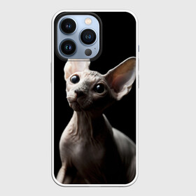 Чехол для iPhone 13 Pro с принтом Сфинкс в Кировске,  |  | Тематика изображения на принте: домашняя | животное | кот | котэ | кошка | сфинкс