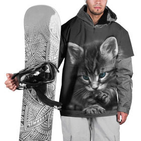 Накидка на куртку 3D с принтом Котенок в Кировске, 100% полиэстер |  | домашняя | животное | кот | котэ | кошка