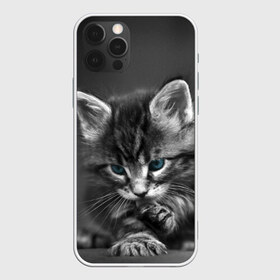 Чехол для iPhone 12 Pro Max с принтом Котенок в Кировске, Силикон |  | Тематика изображения на принте: домашняя | животное | кот | котэ | кошка
