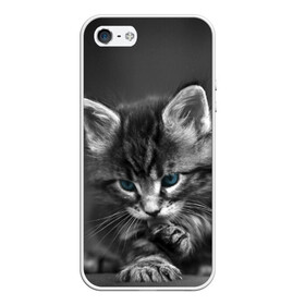 Чехол для iPhone 5/5S матовый с принтом Котенок в Кировске, Силикон | Область печати: задняя сторона чехла, без боковых панелей | домашняя | животное | кот | котэ | кошка