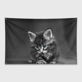 Флаг-баннер с принтом Котенок в Кировске, 100% полиэстер | размер 67 х 109 см, плотность ткани — 95 г/м2; по краям флага есть четыре люверса для крепления | домашняя | животное | кот | котэ | кошка