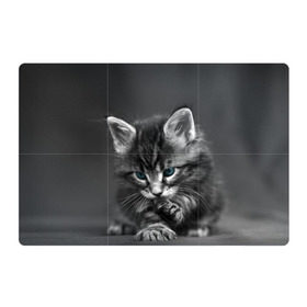 Магнитный плакат 3Х2 с принтом Котенок в Кировске, Полимерный материал с магнитным слоем | 6 деталей размером 9*9 см | Тематика изображения на принте: домашняя | животное | кот | котэ | кошка