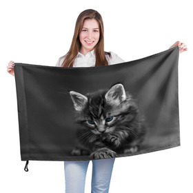 Флаг 3D с принтом Котенок в Кировске, 100% полиэстер | плотность ткани — 95 г/м2, размер — 67 х 109 см. Принт наносится с одной стороны | домашняя | животное | кот | котэ | кошка