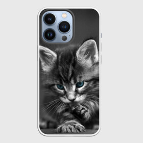 Чехол для iPhone 13 Pro с принтом Котенок в Кировске,  |  | Тематика изображения на принте: домашняя | животное | кот | котэ | кошка