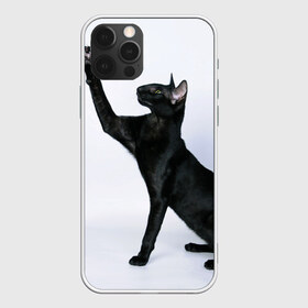 Чехол для iPhone 12 Pro Max с принтом Кот в Кировске, Силикон |  | Тематика изображения на принте: домашняя | животное | кот | котэ | кошка