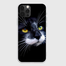 Чехол для iPhone 12 Pro Max с принтом Кот в Кировске, Силикон |  | Тематика изображения на принте: домашняя | животное | кот | котэ | кошка