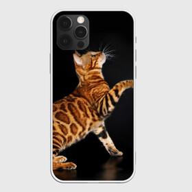 Чехол для iPhone 12 Pro с принтом Бенгальская кошка в Кировске, силикон | область печати: задняя сторона чехла, без боковых панелей | Тематика изображения на принте: бенгальская | домашняя | животное | кот | котэ | кошка