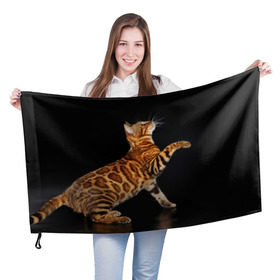 Флаг 3D с принтом Бенгальская кошка в Кировске, 100% полиэстер | плотность ткани — 95 г/м2, размер — 67 х 109 см. Принт наносится с одной стороны | бенгальская | домашняя | животное | кот | котэ | кошка