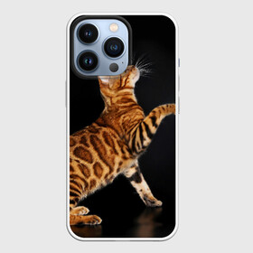 Чехол для iPhone 13 Pro с принтом Бенгальская кошка в Кировске,  |  | Тематика изображения на принте: бенгальская | домашняя | животное | кот | котэ | кошка