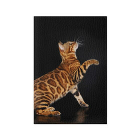 Обложка для паспорта матовая кожа с принтом Бенгальская кошка в Кировске, натуральная матовая кожа | размер 19,3 х 13,7 см; прозрачные пластиковые крепления | Тематика изображения на принте: бенгальская | домашняя | животное | кот | котэ | кошка