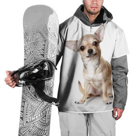 Накидка на куртку 3D с принтом Чихуахуа в Кировске, 100% полиэстер |  | животное | порода | собака | чихуахуа