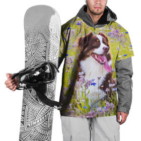 Накидка на куртку 3D с принтом Австралийская овчарка в Кировске, 100% полиэстер |  | австралийская овчарка | животное | порода | собака | ц