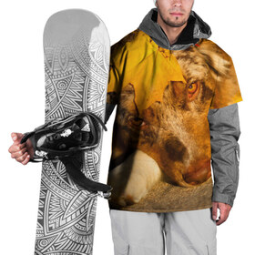 Накидка на куртку 3D с принтом Австралийская овчарка в Кировске, 100% полиэстер |  | австралийская овчарка | клён | осень | порода | собака