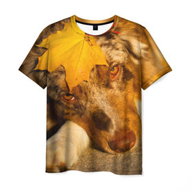 Мужская футболка 3D с принтом Австралийская овчарка в Кировске, 100% полиэфир | прямой крой, круглый вырез горловины, длина до линии бедер | австралийская овчарка | клён | осень | порода | собака