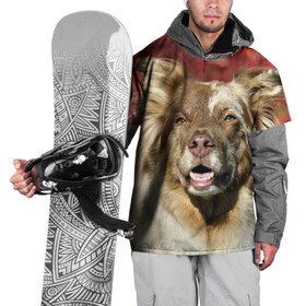 Накидка на куртку 3D с принтом Австралийская овчарка в Кировске, 100% полиэстер |  | австралийская овчарка | животное | порода | собака