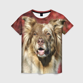 Женская футболка 3D с принтом Австралийская овчарка в Кировске, 100% полиэфир ( синтетическое хлопкоподобное полотно) | прямой крой, круглый вырез горловины, длина до линии бедер | австралийская овчарка | животное | порода | собака