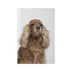 Обложка для паспорта матовая кожа с принтом Английский кокер-спаниель в Кировске, натуральная матовая кожа | размер 19,3 х 13,7 см; прозрачные пластиковые крепления | английский кокер спаниель | порода | собака