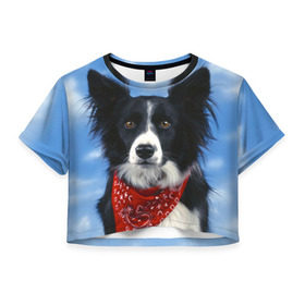 Женская футболка 3D укороченная с принтом Бордер-колли в Кировске, 100% полиэстер | круглая горловина, длина футболки до линии талии, рукава с отворотами | бордер колли | животное | порода | собака