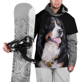 Накидка на куртку 3D с принтом Бернский зенненхунд в Кировске, 100% полиэстер |  | Тематика изображения на принте: бернский зенненхунд | животное | порода | собака