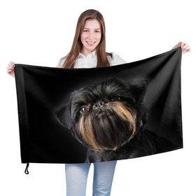 Флаг 3D с принтом Бельгийский грифон в Кировске, 100% полиэстер | плотность ткани — 95 г/м2, размер — 67 х 109 см. Принт наносится с одной стороны | бельгийский грифон | животное | порода | собака