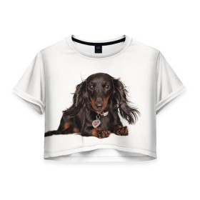 Женская футболка 3D укороченная с принтом Карликовая такса в Кировске, 100% полиэстер | круглая горловина, длина футболки до линии талии, рукава с отворотами | животное | карликовая такса | порода | собака