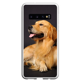 Чехол для Samsung Galaxy S10 с принтом Золотистый ретривер в Кировске, Силикон | Область печати: задняя сторона чехла, без боковых панелей | животное | золотистый ретривер | порода | собака