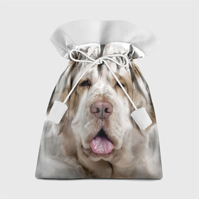Подарочный 3D мешок с принтом Кламбер-спаниель в Кировске, 100% полиэстер | Размер: 29*39 см | животное | кламбер спаниель | порода | собака