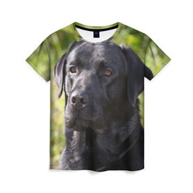 Женская футболка 3D с принтом Лабрадор в Кировске, 100% полиэфир ( синтетическое хлопкоподобное полотно) | прямой крой, круглый вырез горловины, длина до линии бедер | животное | лабрадор | порода | собака