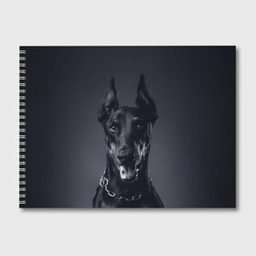 Альбом для рисования с принтом Доберман в Кировске, 100% бумага
 | матовая бумага, плотность 200 мг. | доберман | животное | порода | собака