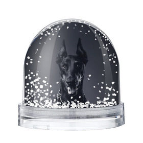 Снежный шар с принтом Доберман в Кировске, Пластик | Изображение внутри шара печатается на глянцевой фотобумаге с двух сторон | доберман | животное | порода | собака