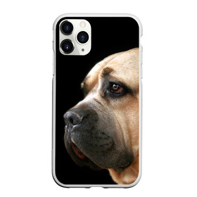 Чехол для iPhone 11 Pro Max матовый с принтом Канне корсо в Кировске, Силикон |  | Тематика изображения на принте: животное | канне корсо | порода | собака
