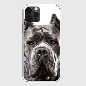 Чехол для iPhone 12 Pro Max с принтом Канне корсо в Кировске, Силикон |  | Тематика изображения на принте: животное | канне корсо | порода | собака