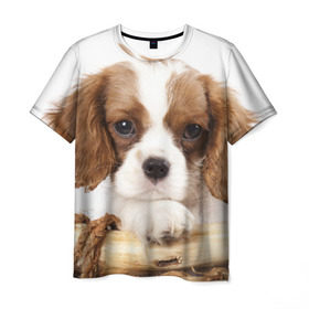 Мужская футболка 3D с принтом Кинг чарльз спаниель в Кировске, 100% полиэфир | прямой крой, круглый вырез горловины, длина до линии бедер | животное | кинг чарльз спаниель | порода | собака
