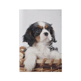 Обложка для паспорта матовая кожа с принтом Кинг чарльз спаниель в Кировске, натуральная матовая кожа | размер 19,3 х 13,7 см; прозрачные пластиковые крепления | животное | кинг чарльз спаниель | порода | собака