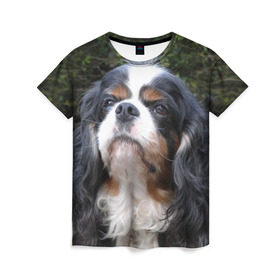 Женская футболка 3D с принтом Кинг чарльз спаниель в Кировске, 100% полиэфир ( синтетическое хлопкоподобное полотно) | прямой крой, круглый вырез горловины, длина до линии бедер | животное | кинг чарльз спаниель | порода | собака