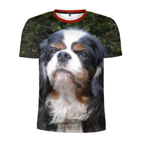 Мужская футболка 3D спортивная с принтом Кинг чарльз спаниель в Кировске, 100% полиэстер с улучшенными характеристиками | приталенный силуэт, круглая горловина, широкие плечи, сужается к линии бедра | животное | кинг чарльз спаниель | порода | собака