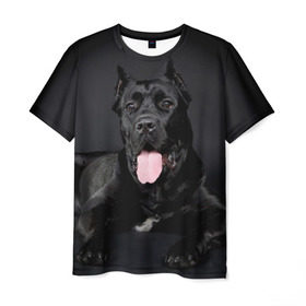 Мужская футболка 3D с принтом Канне корсо в Кировске, 100% полиэфир | прямой крой, круглый вырез горловины, длина до линии бедер | животное | канне корсо | порода | собака
