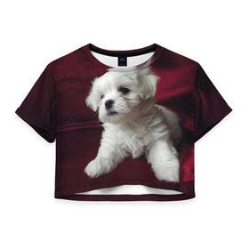 Женская футболка 3D укороченная с принтом Мальтийская болонка в Кировске, 100% полиэстер | круглая горловина, длина футболки до линии талии, рукава с отворотами | животное | мальтийская болонка | порода | собака