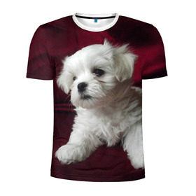 Мужская футболка 3D спортивная с принтом Мальтийская болонка в Кировске, 100% полиэстер с улучшенными характеристиками | приталенный силуэт, круглая горловина, широкие плечи, сужается к линии бедра | Тематика изображения на принте: животное | мальтийская болонка | порода | собака