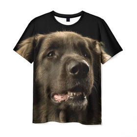 Мужская футболка 3D с принтом Леонбергер в Кировске, 100% полиэфир | прямой крой, круглый вырез горловины, длина до линии бедер | животное | леонбергер | порода | собака