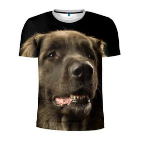 Мужская футболка 3D спортивная с принтом Леонбергер в Кировске, 100% полиэстер с улучшенными характеристиками | приталенный силуэт, круглая горловина, широкие плечи, сужается к линии бедра | животное | леонбергер | порода | собака