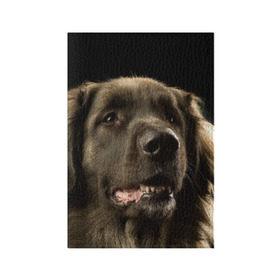 Обложка для паспорта матовая кожа с принтом Леонбергер в Кировске, натуральная матовая кожа | размер 19,3 х 13,7 см; прозрачные пластиковые крепления | Тематика изображения на принте: животное | леонбергер | порода | собака