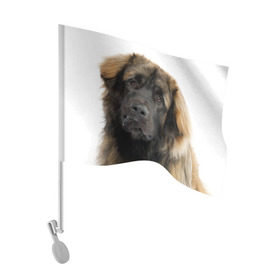 Флаг для автомобиля с принтом Леонбергер в Кировске, 100% полиэстер | Размер: 30*21 см | Тематика изображения на принте: животное | леонбергер | порода | собака