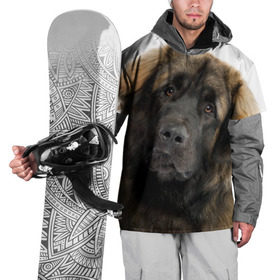 Накидка на куртку 3D с принтом Леонбергер в Кировске, 100% полиэстер |  | животное | леонбергер | порода | собака