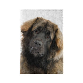 Обложка для паспорта матовая кожа с принтом Леонбергер в Кировске, натуральная матовая кожа | размер 19,3 х 13,7 см; прозрачные пластиковые крепления | животное | леонбергер | порода | собака