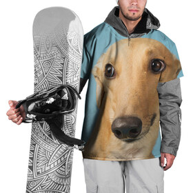 Накидка на куртку 3D с принтом Левретка в Кировске, 100% полиэстер |  | животное | порода | собака