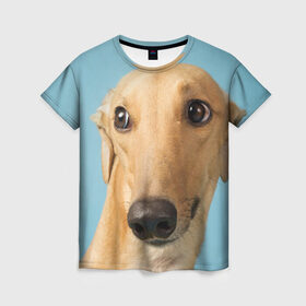 Женская футболка 3D с принтом Левретка в Кировске, 100% полиэфир ( синтетическое хлопкоподобное полотно) | прямой крой, круглый вырез горловины, длина до линии бедер | животное | порода | собака