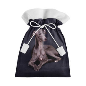 Подарочный 3D мешок с принтом Левретка в Кировске, 100% полиэстер | Размер: 29*39 см | Тематика изображения на принте: животное | порода | собака