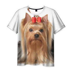 Мужская футболка 3D с принтом Йоркширский терьер в Кировске, 100% полиэфир | прямой крой, круглый вырез горловины, длина до линии бедер | Тематика изображения на принте: животное | йоркширский терьер | порода | собака