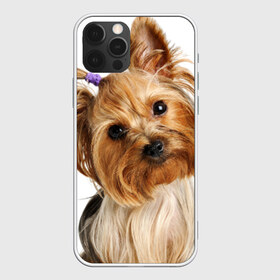 Чехол для iPhone 12 Pro Max с принтом Йоркширский терьер в Кировске, Силикон |  | животное | йоркширский терьер | порода | собака